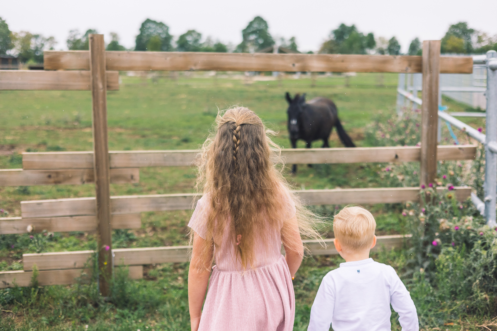 Jasmin Piehler Fotografie, Fotograf Königsbrunn, Augsburg, Kindershooting, Kinderfotos, Familienfotos, Familienfotoshooting